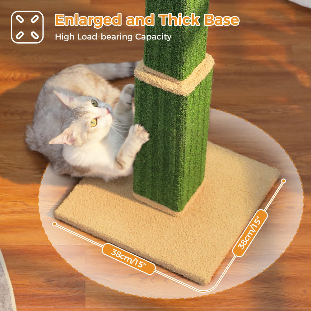 PAWZ Road assembly with included tools and clear instructions.