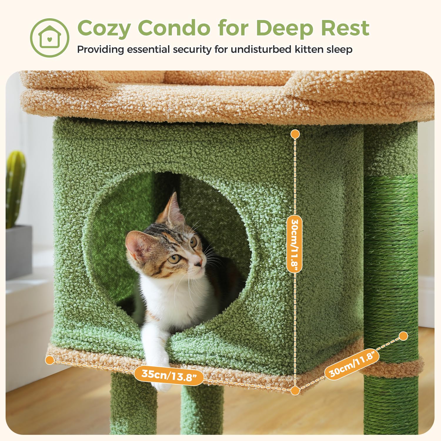 PAWZ Road cactus cat tree includes a spring ball for interactive play.