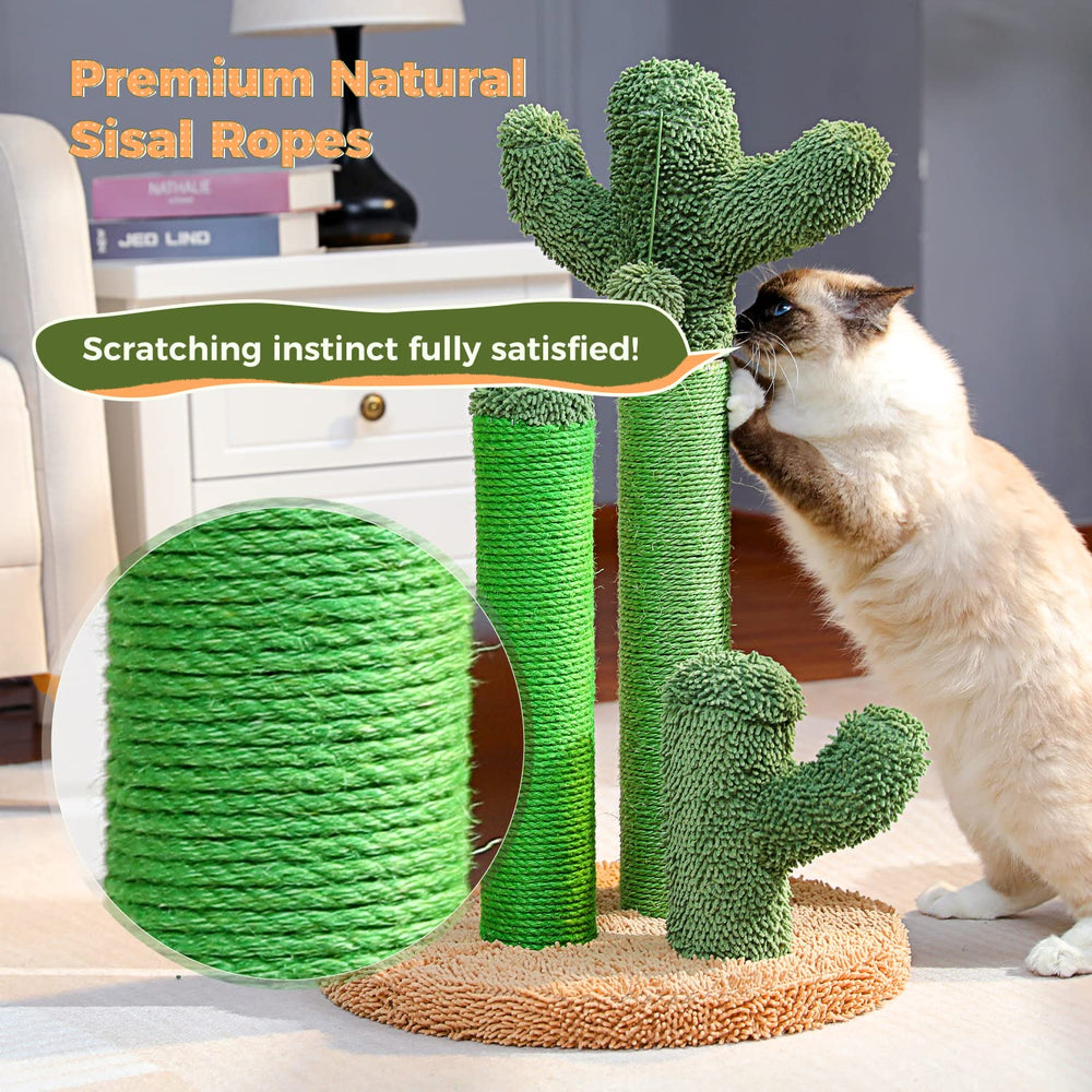 PAWZ Road Cactus Scratcher blends with modern decor.