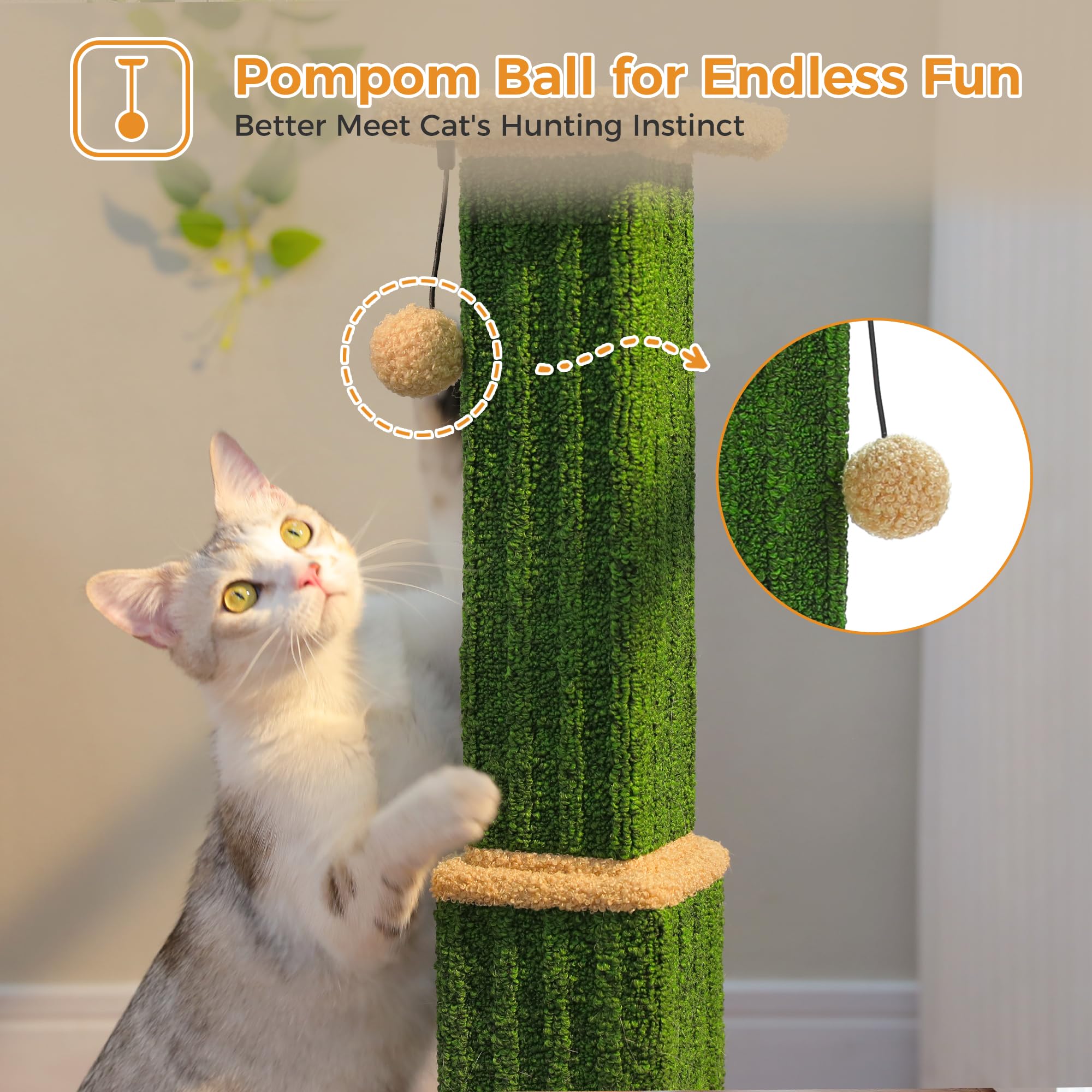 PAWZ Road carpet texture close-up highlights soft yet durable material.
