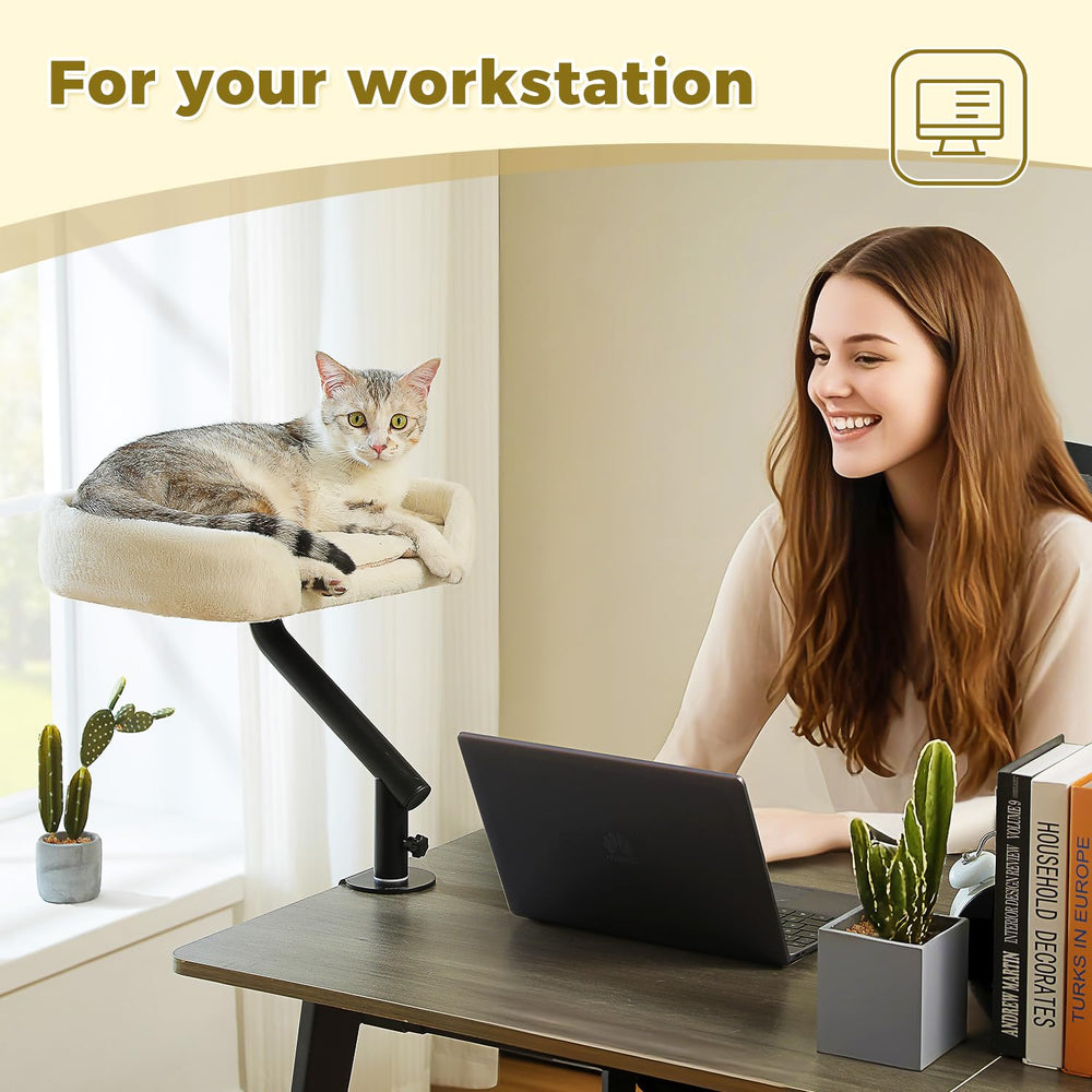 PAWZ Road cat desk bed clamp system securely attaches to a table.