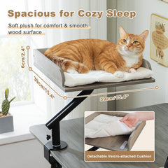 PAWZ Road cat desk bed wooden pole highlights sturdy support for up to 50 pounds