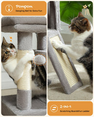 PAWZ Road inclined ramp helps cats reach the upper level
