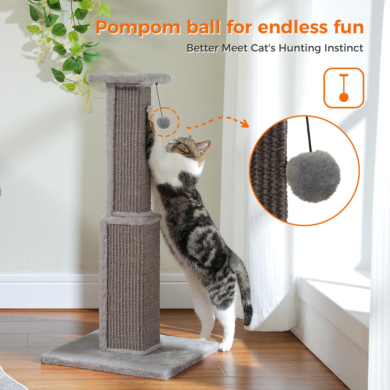 PAWZ Road three-color options blend with beige, gray, or black decor.