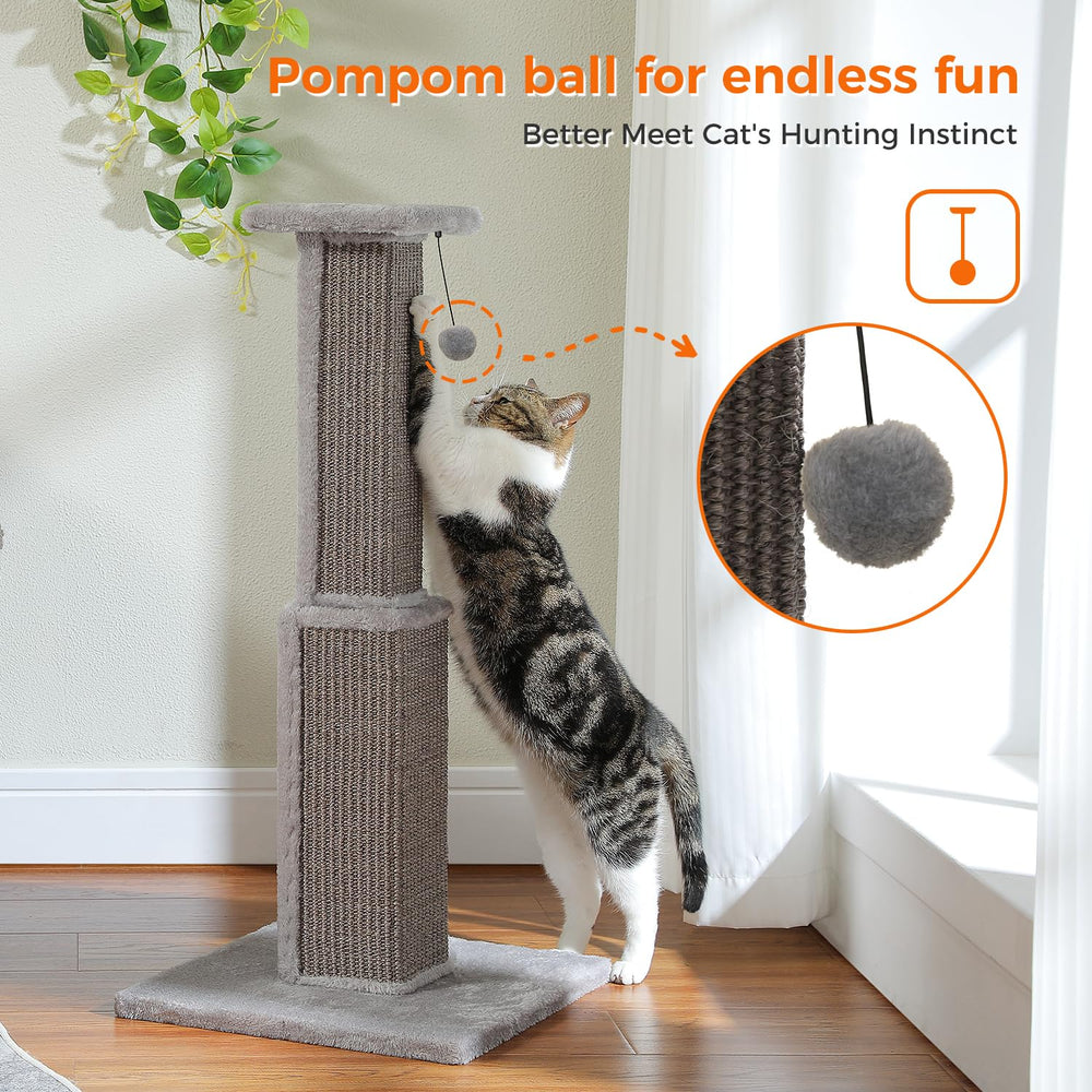 PAWZ Road three-color options blend with beige, gray, or black decor.
