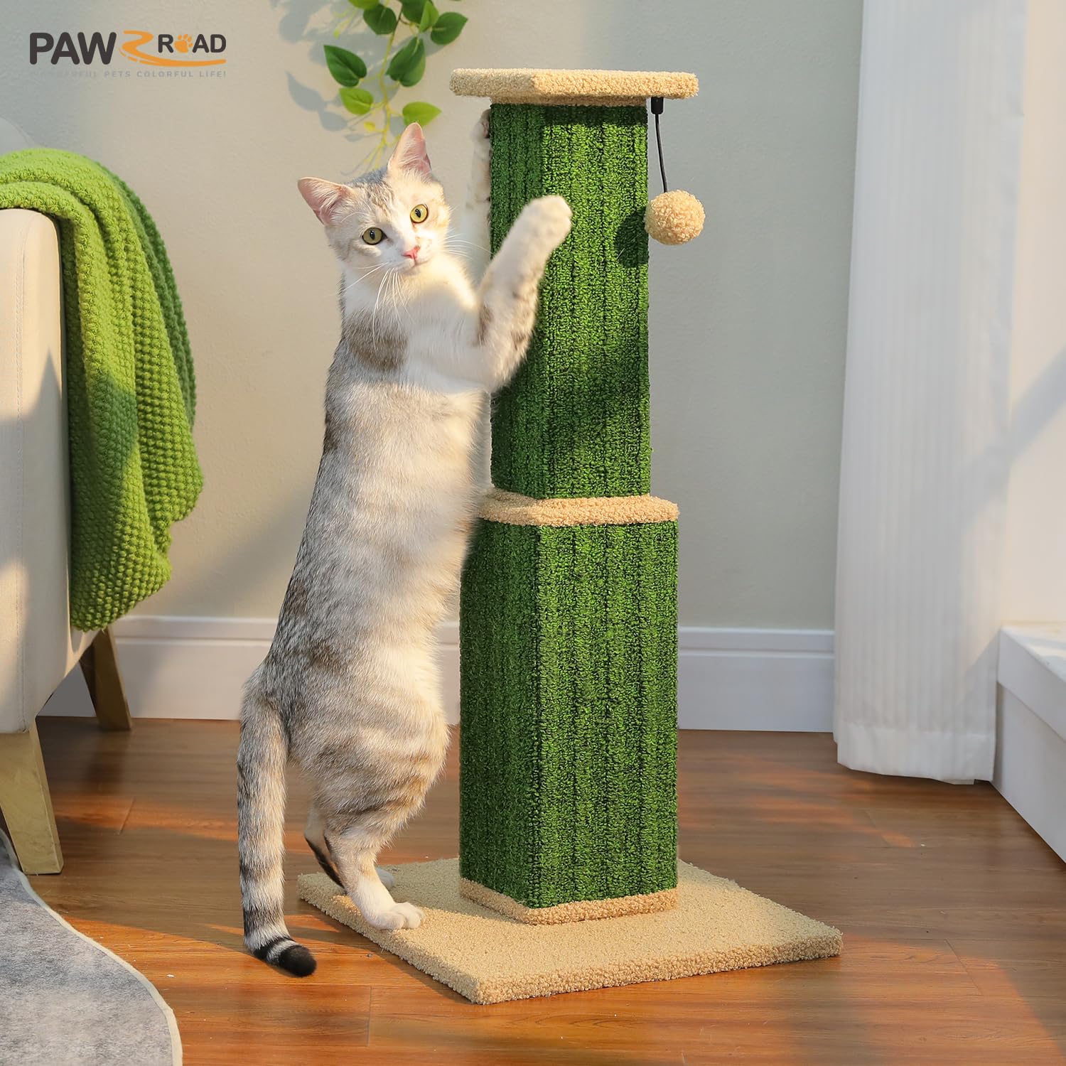 PAWZ Road color options in green, beige, gray, and black for modern decor.