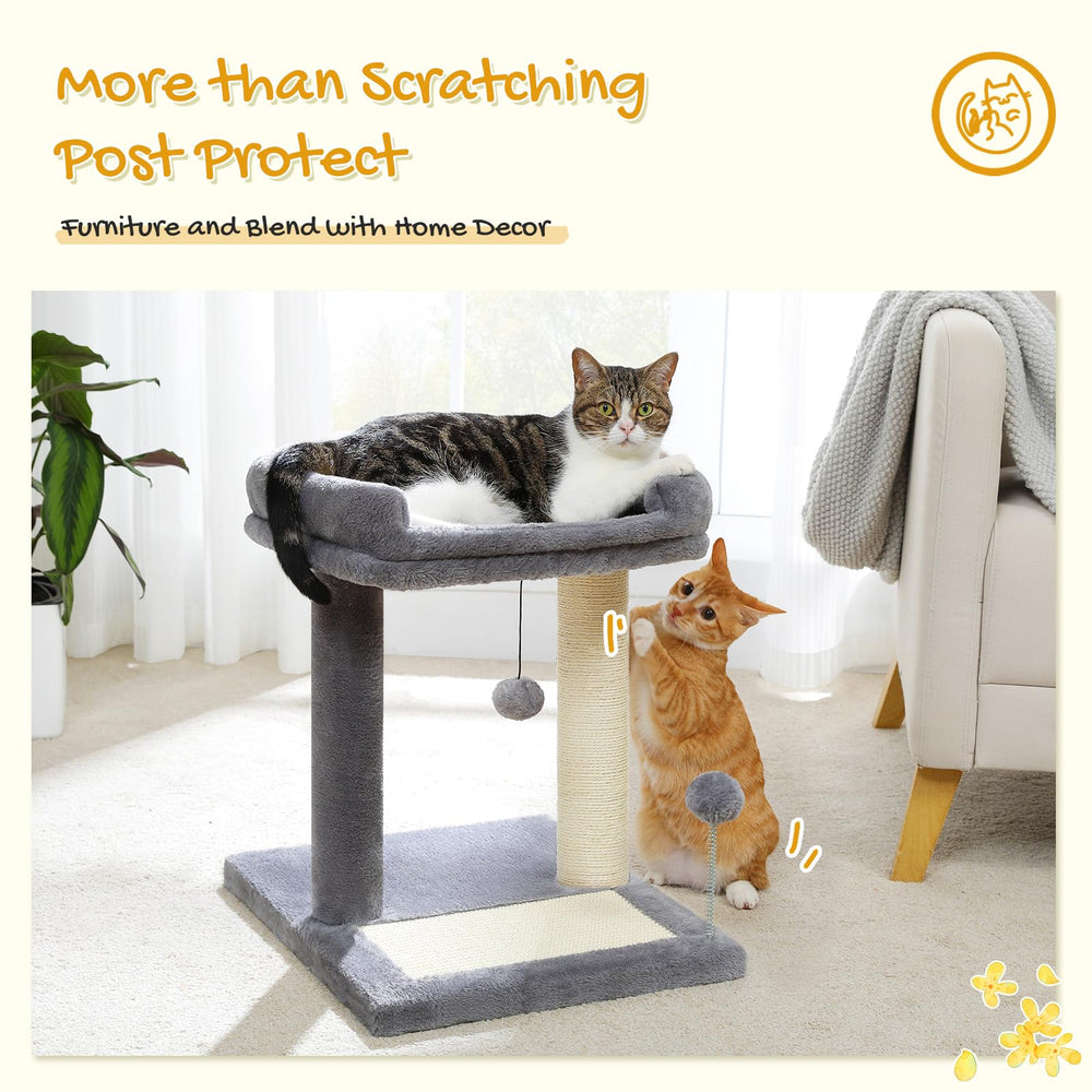 PAWZ Road compact cat tree helps protect furniture by offering a dedicated scratching space
