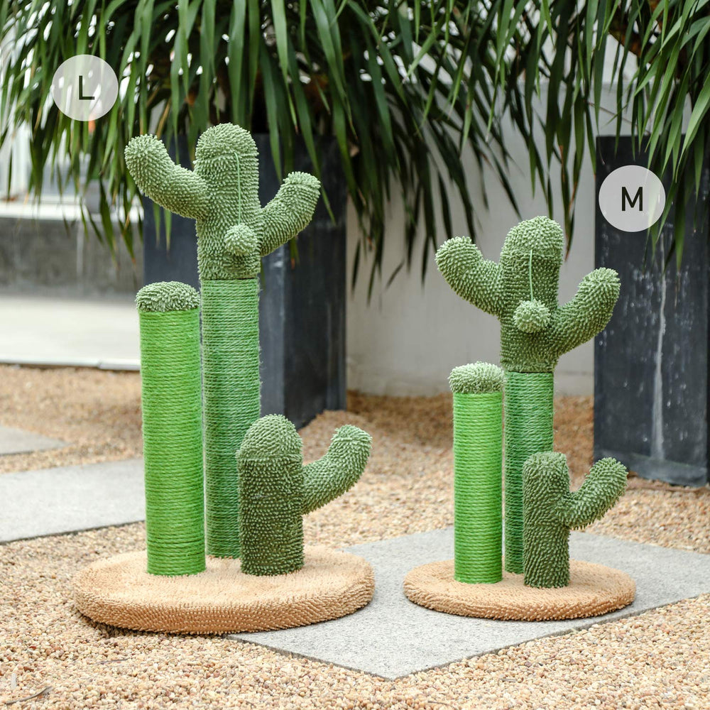 PAWZ Road desert-green design keeps homes stylish while entertaining felines