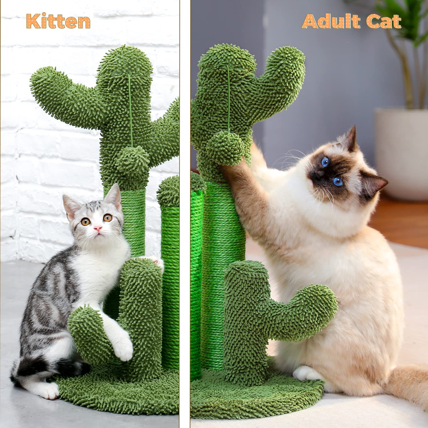 PAWZ Road cactus scratcher ships with simple, quick assembly.