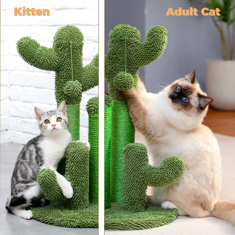 PAWZ Road cactus scratcher ships with simple, quick assembly.