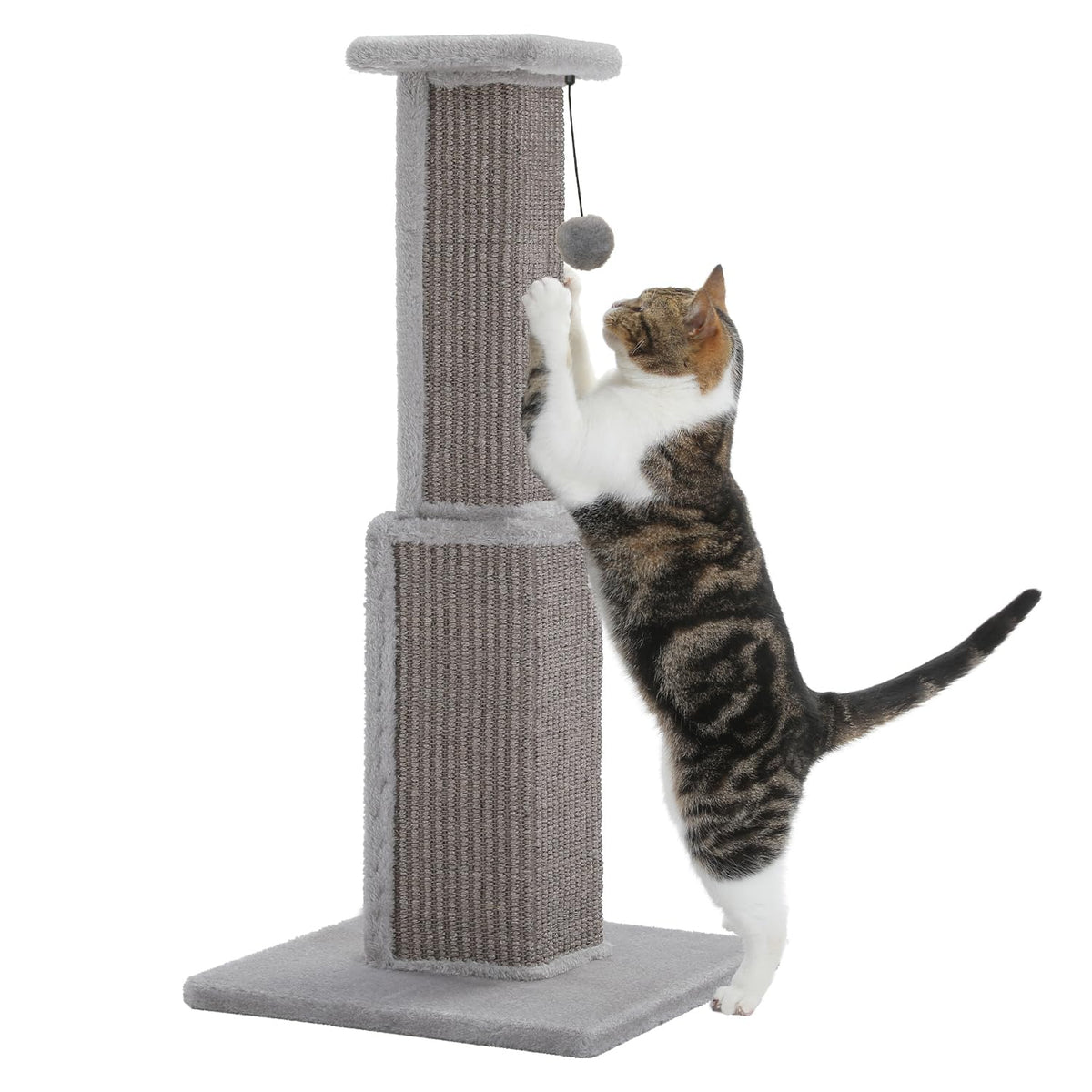 PAWZ Road large cat scratching post 32in tall with sisal pillar for durable scratching.