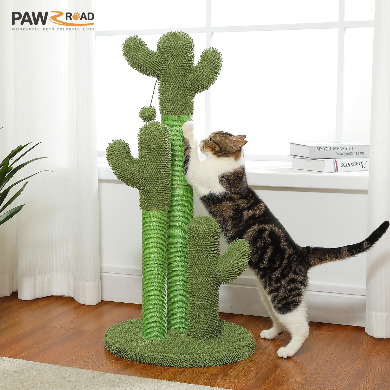 Medium size suits cats up to 10lbs for balanced play.