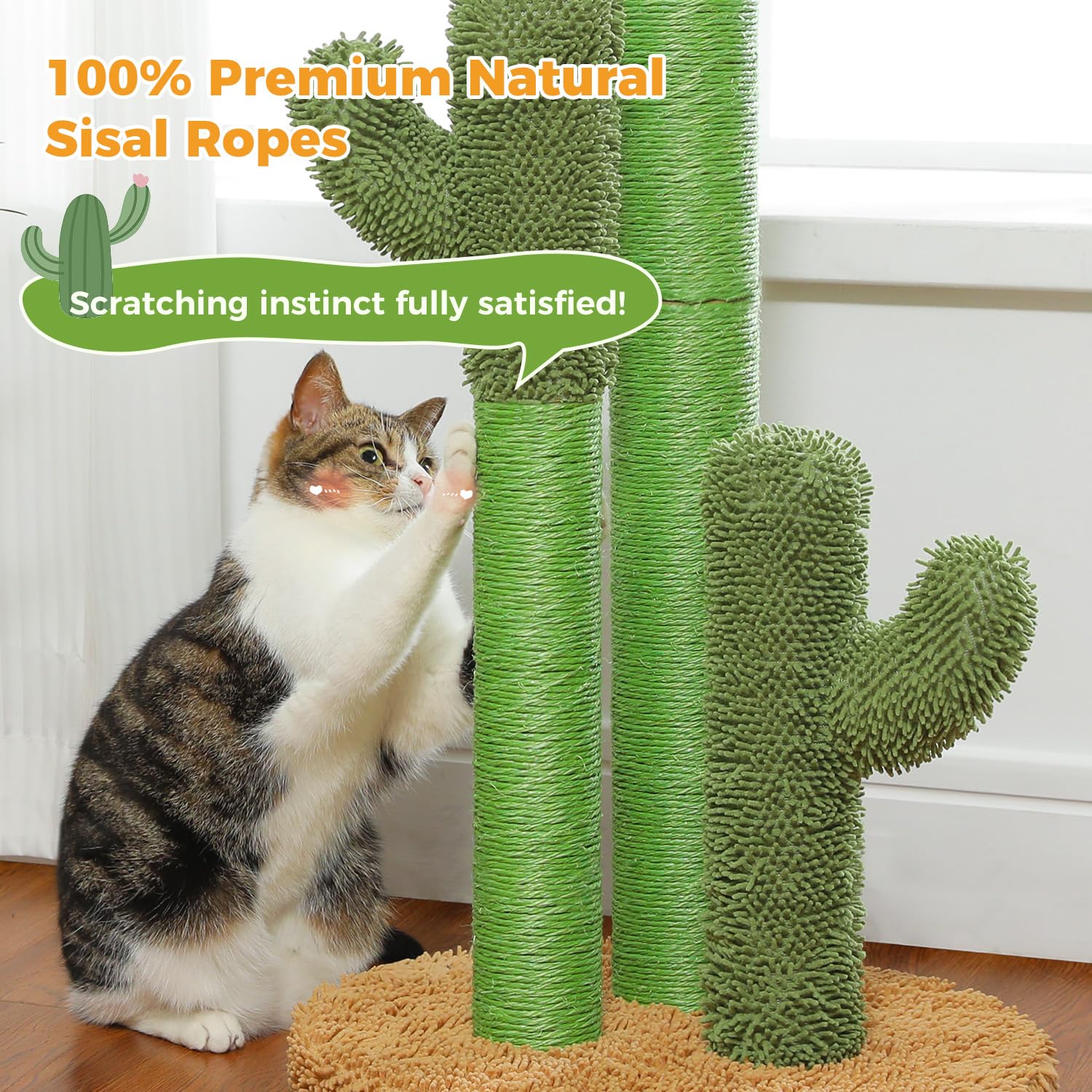 PAWZ Road multi-height post supports kittens to adult cats during scratching