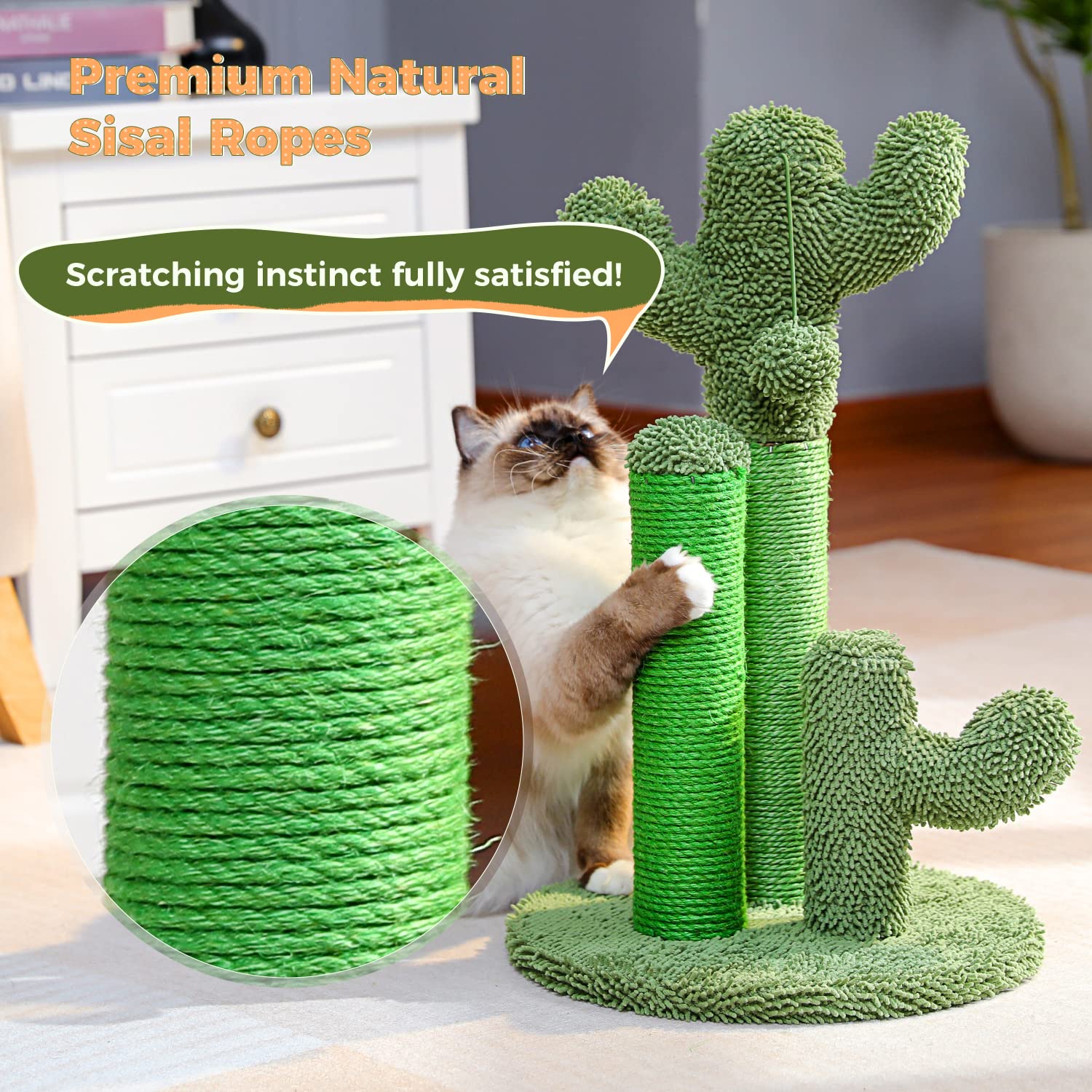 PAWZ Road cactus posts provide 7.5–20.9 inches of varied heights.