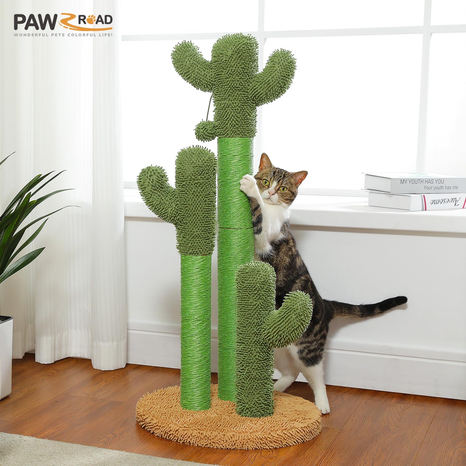 PAWZ Road top soft carpet area encourages jumping and exploration