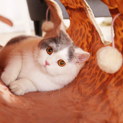 PAWZ Road XL Cat Tunnel crinkle fabric exterior attracts play and exploration.