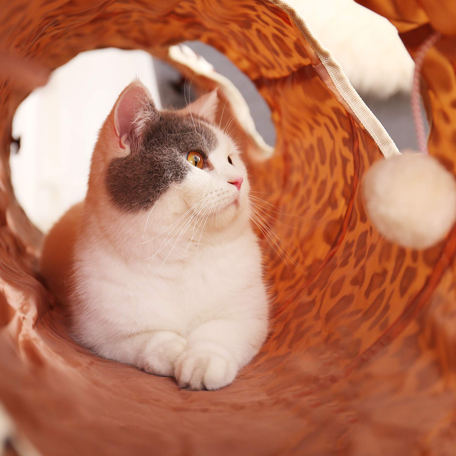 PAWZ Road XL Cat Tunnel plush interior provides cozy resting during hide-and-seek.