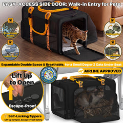 PAWZIDEA rear and side mesh panels maximize airflow for calmer pets.