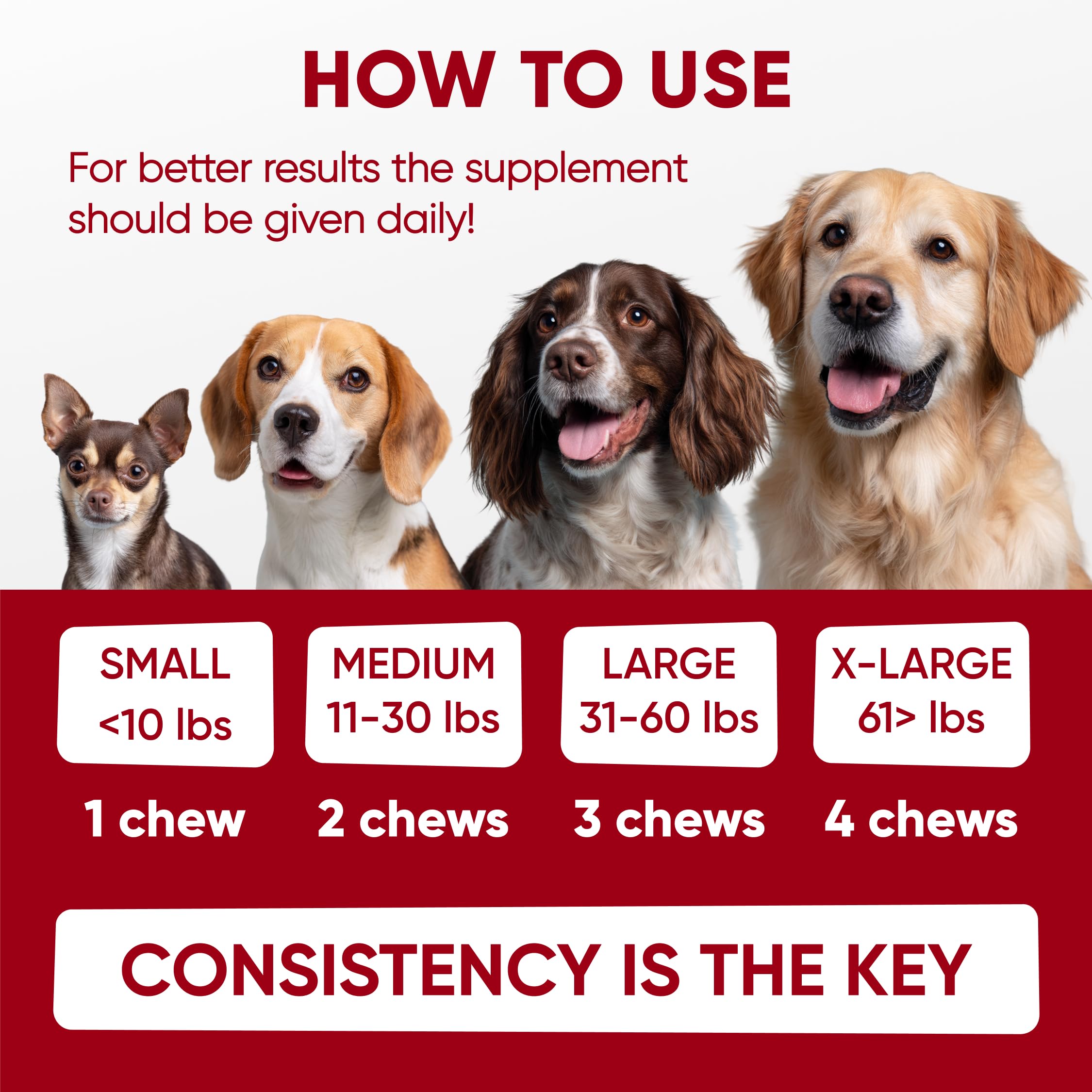 Close-up of probiotic enzyme blend for dog digestive health.