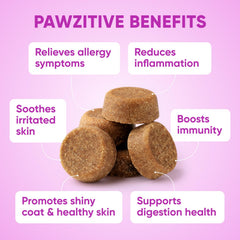 Pawzitive Pets dog allergy relief chews closeup texture emphasizes tasty omega-3 rich formula.