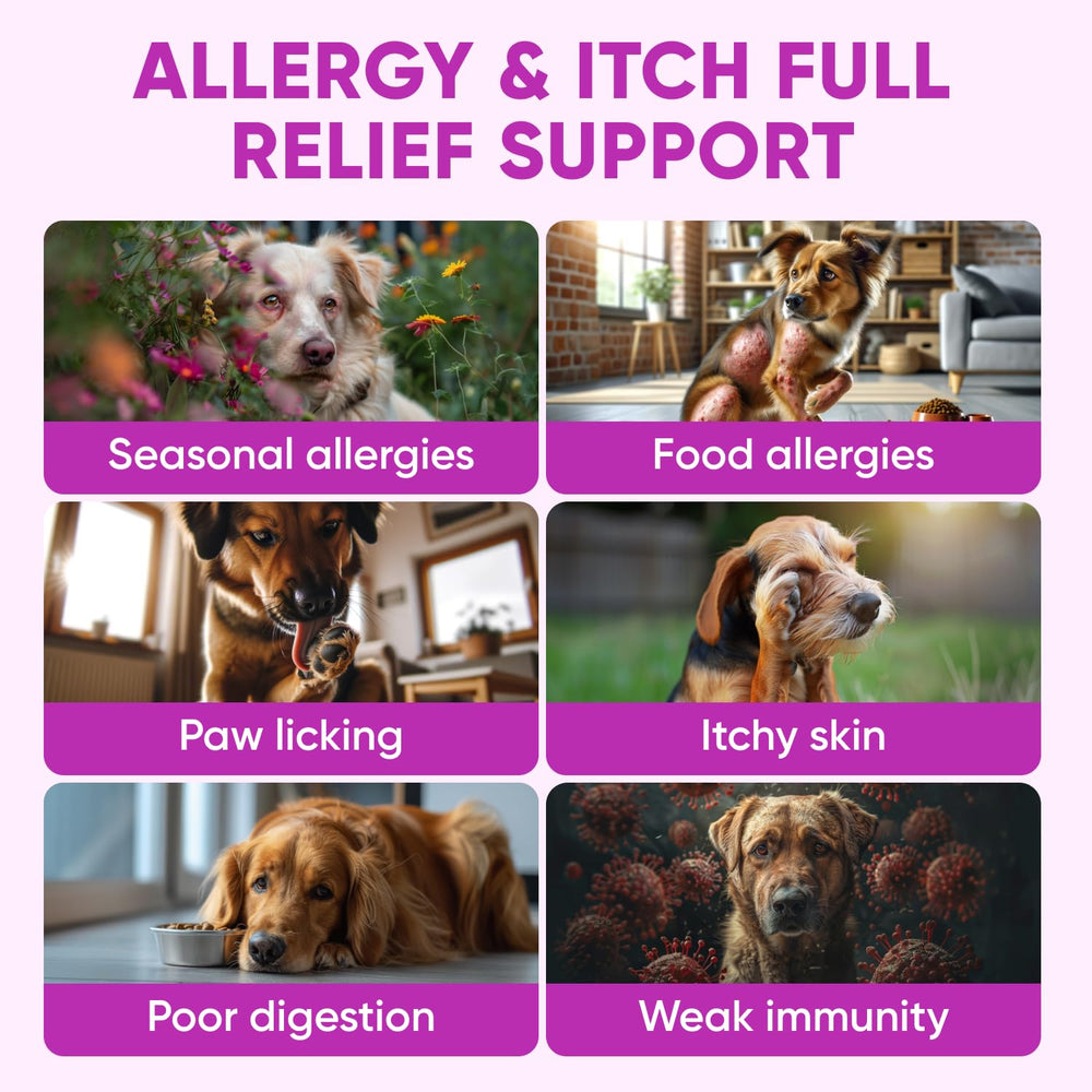 Pawzitive Pets dog allergy relief chews open pack highlights convenient daily use.