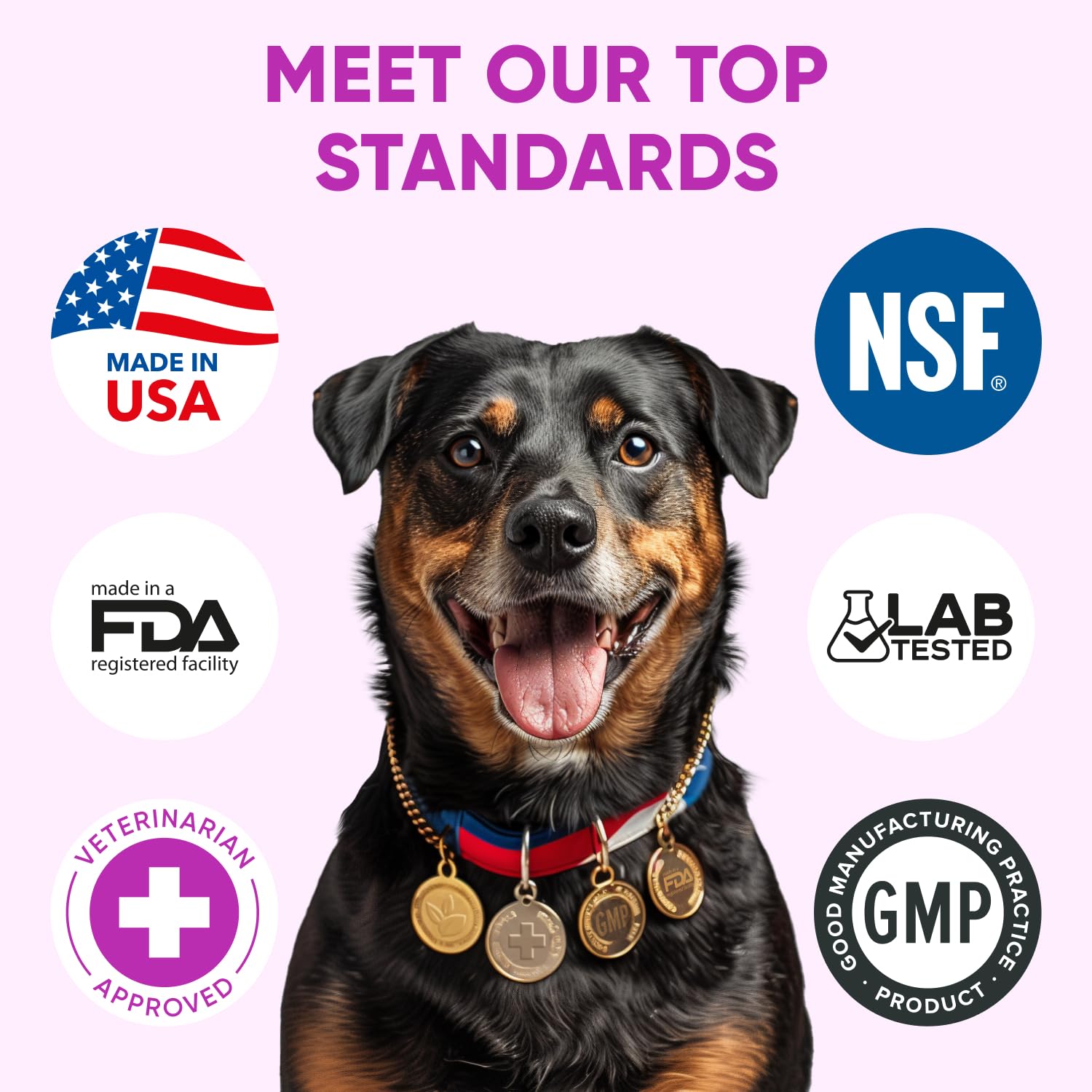 Pawzitive Pets dog eating chew demonstrates safe, user-friendly daily allergy relief.
