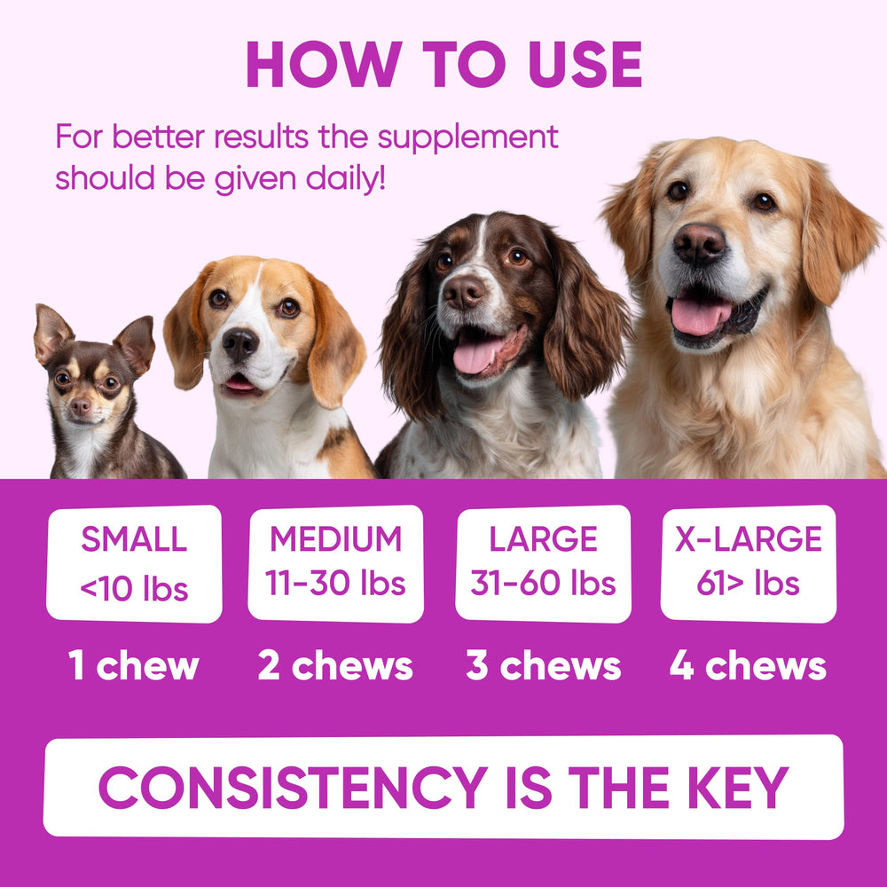Pawzitive Pets dog licking paws reduced after supplement intake.