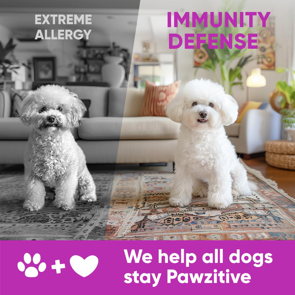 Pawzitive Pets dog skin glow after chew hints at coat vitality.