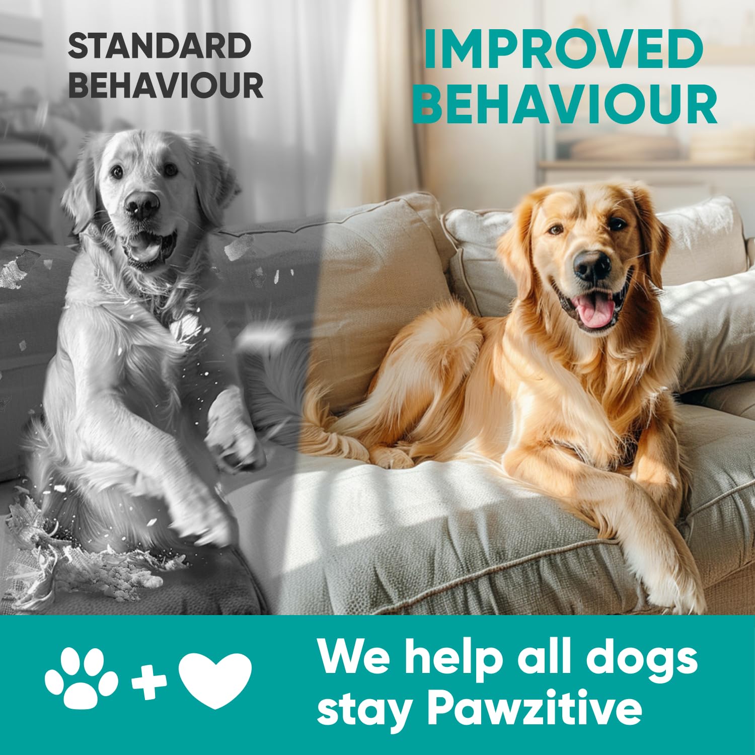 Pawzitive Pets travel-sized chew bottle hints at on-the-go anxiety support