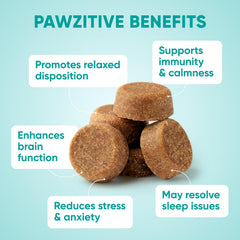 Pawzitive Pets packaging box highlights natural ingredients for stress relief