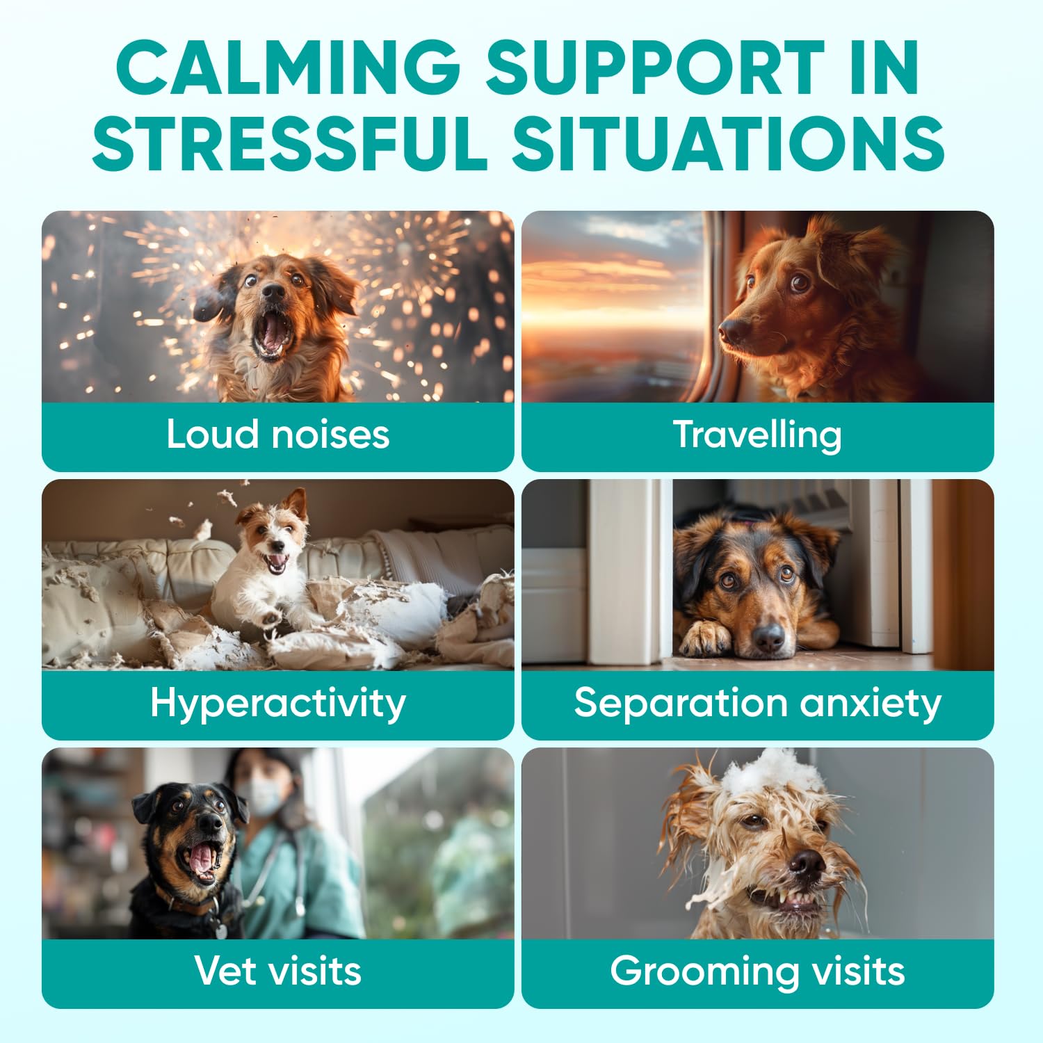 Pawzitive Pets soft treats closeup showing calming formula for calmer dogs