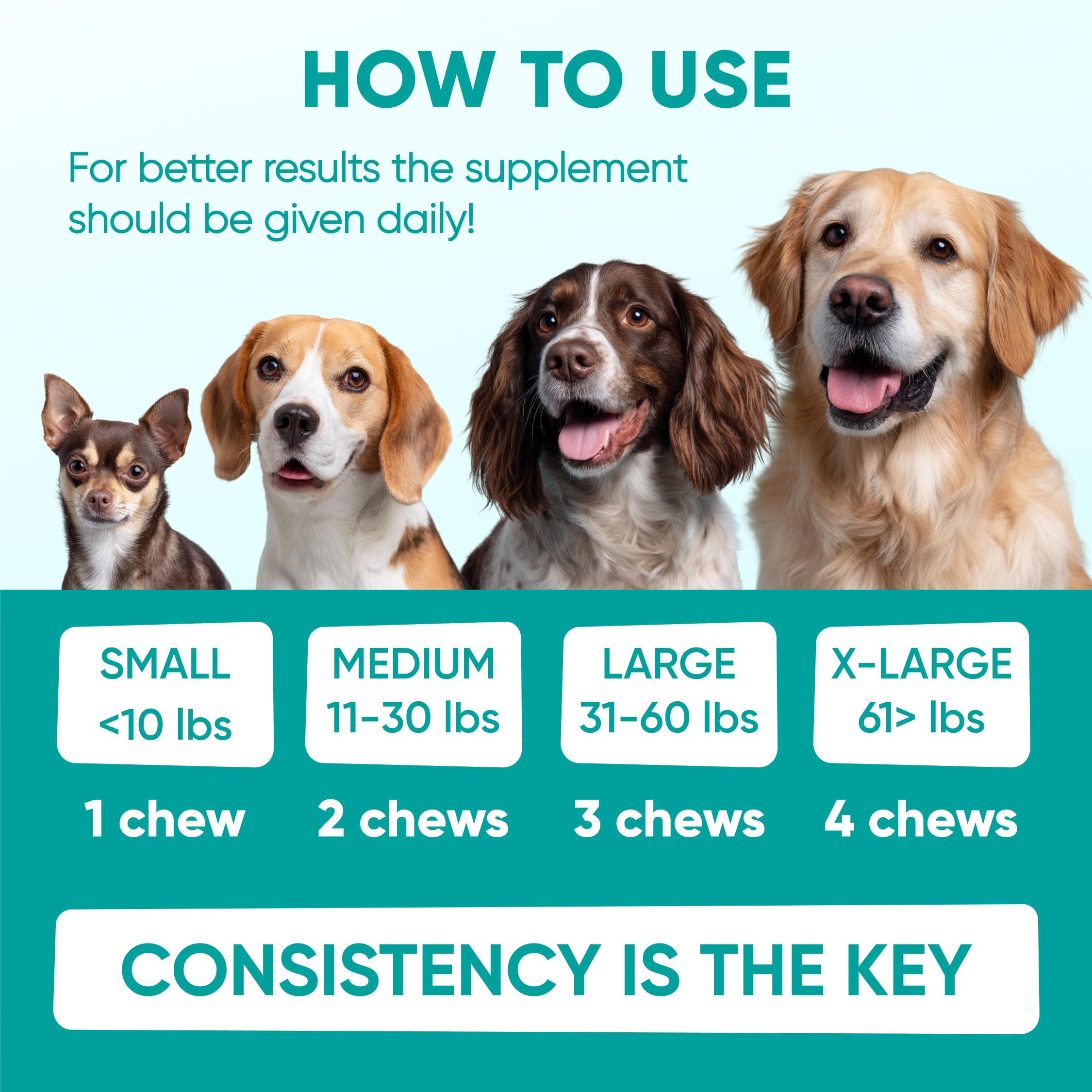 Pawzitive Pets night-time calms dog for peaceful rest and easier routines