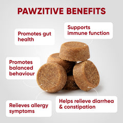 Pawzitive Pets probiotic chews in a jar with a dog nearby.