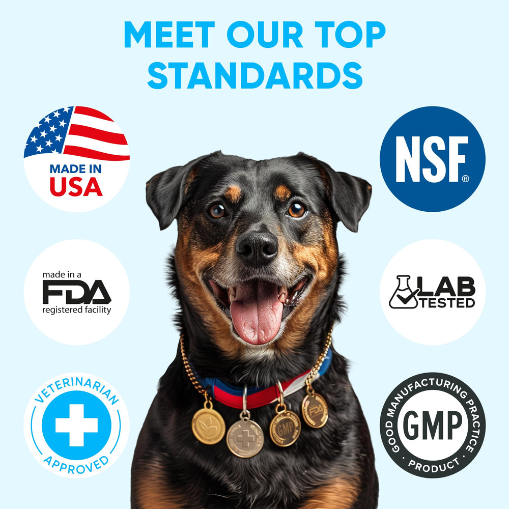 Pawzitive Pets puppy-friendly chews pictured for gentle introduction to prevention.