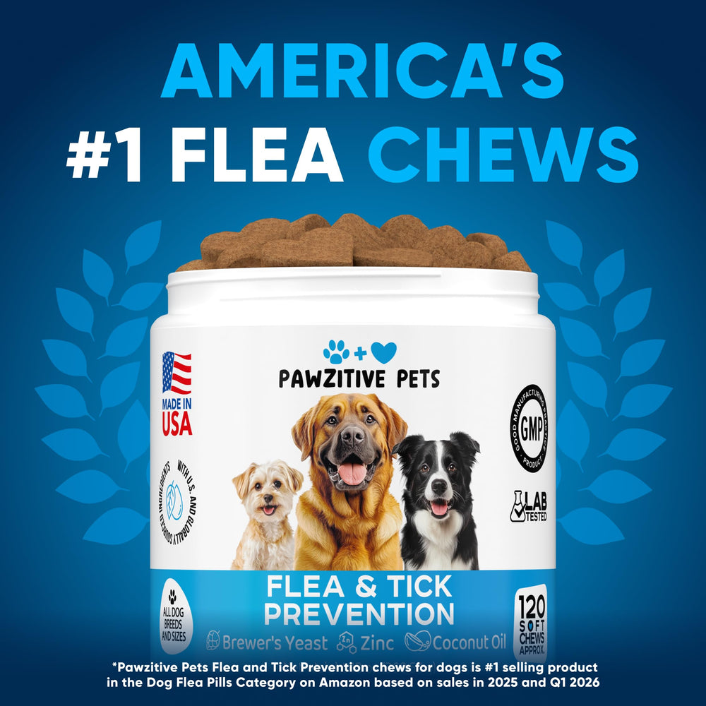 Pawzitive Pets soft chews close-up highlighting bite-sized texture for simple handling.
