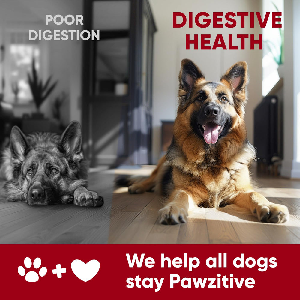 USA-made stamp on label signifying quality and veterinary backing.