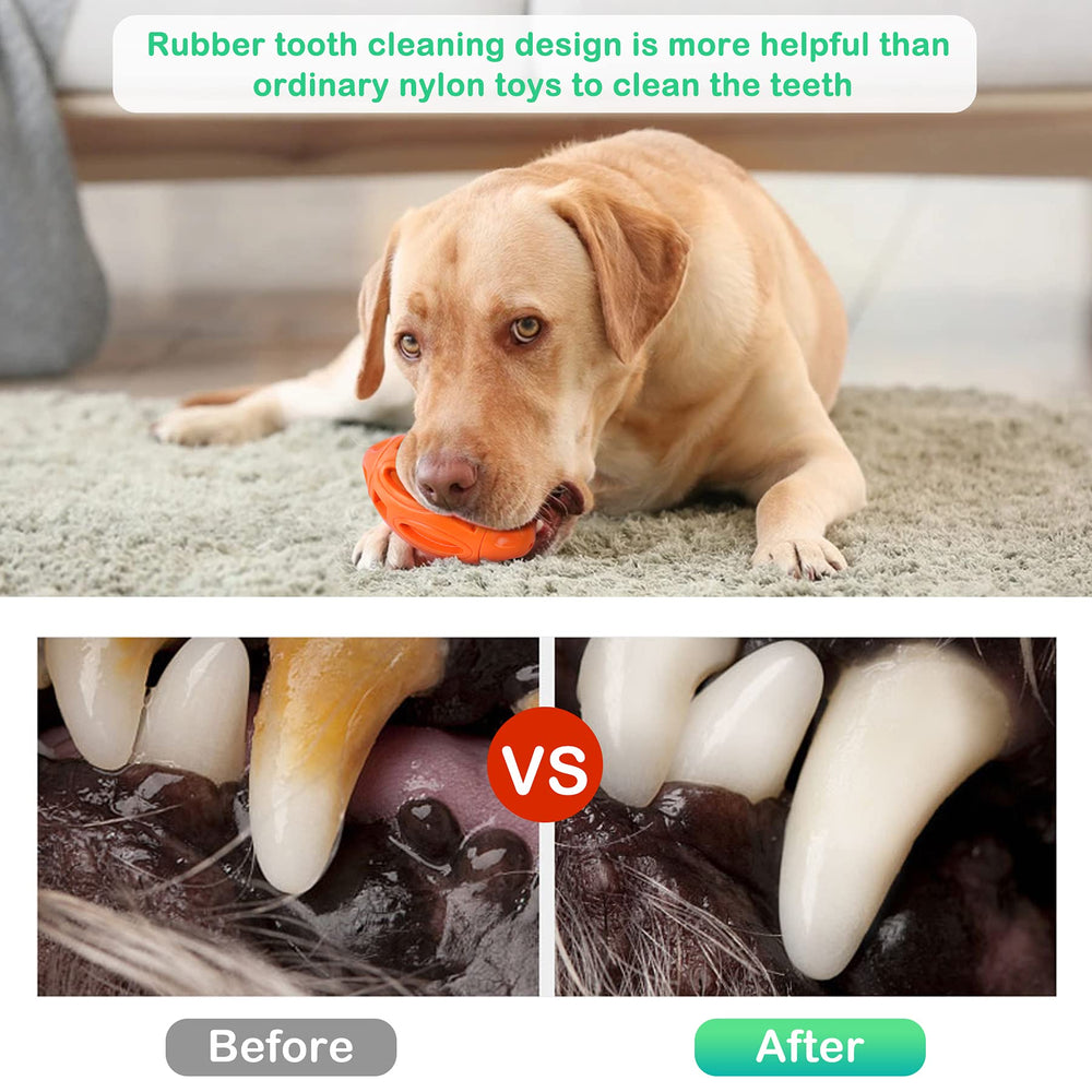 Pawzone durable rubber ball toy for outdoor play with strong chewers.