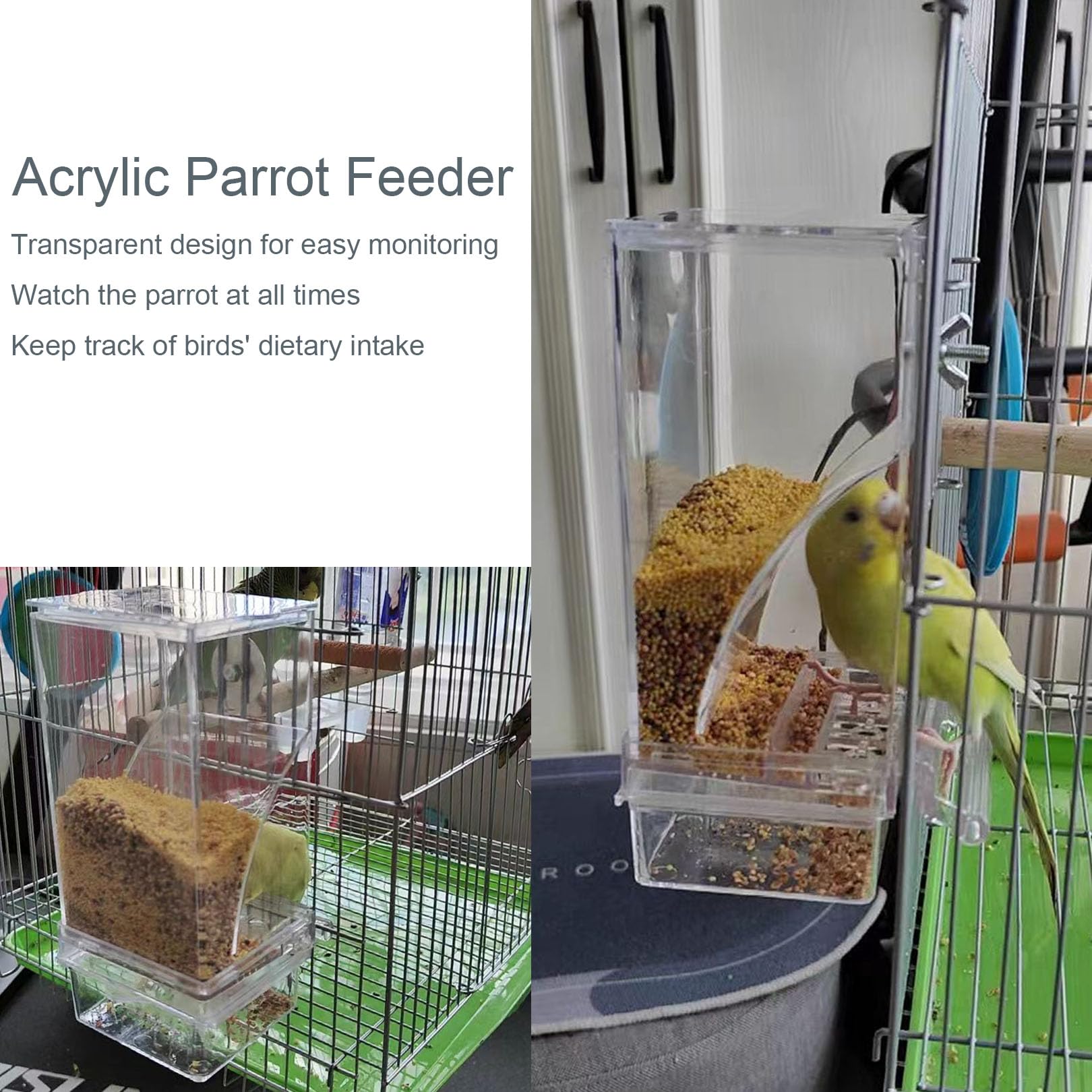 Paxlkuao acrylic parrot feeder clear container emphasizes transparent design for watching food