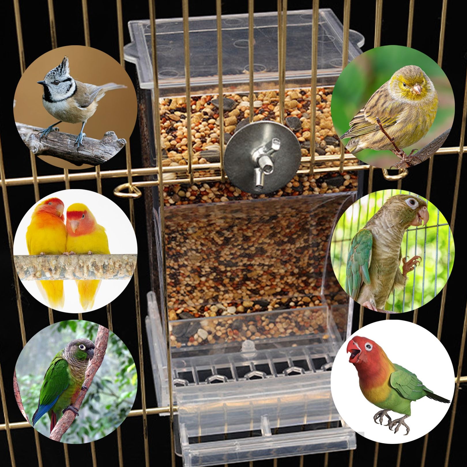 Paxlkuao easy installation uses included screws for secure cage mounting