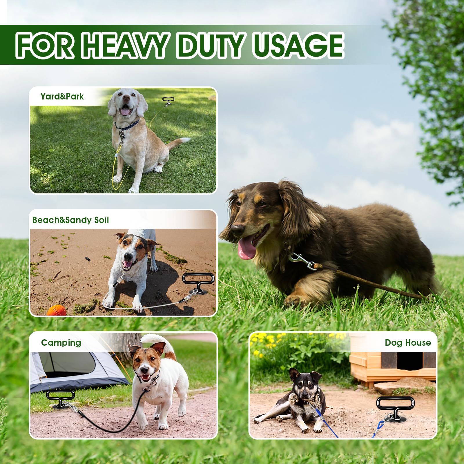 Payivsve dog stake designed to install in dirt, mud, or sand