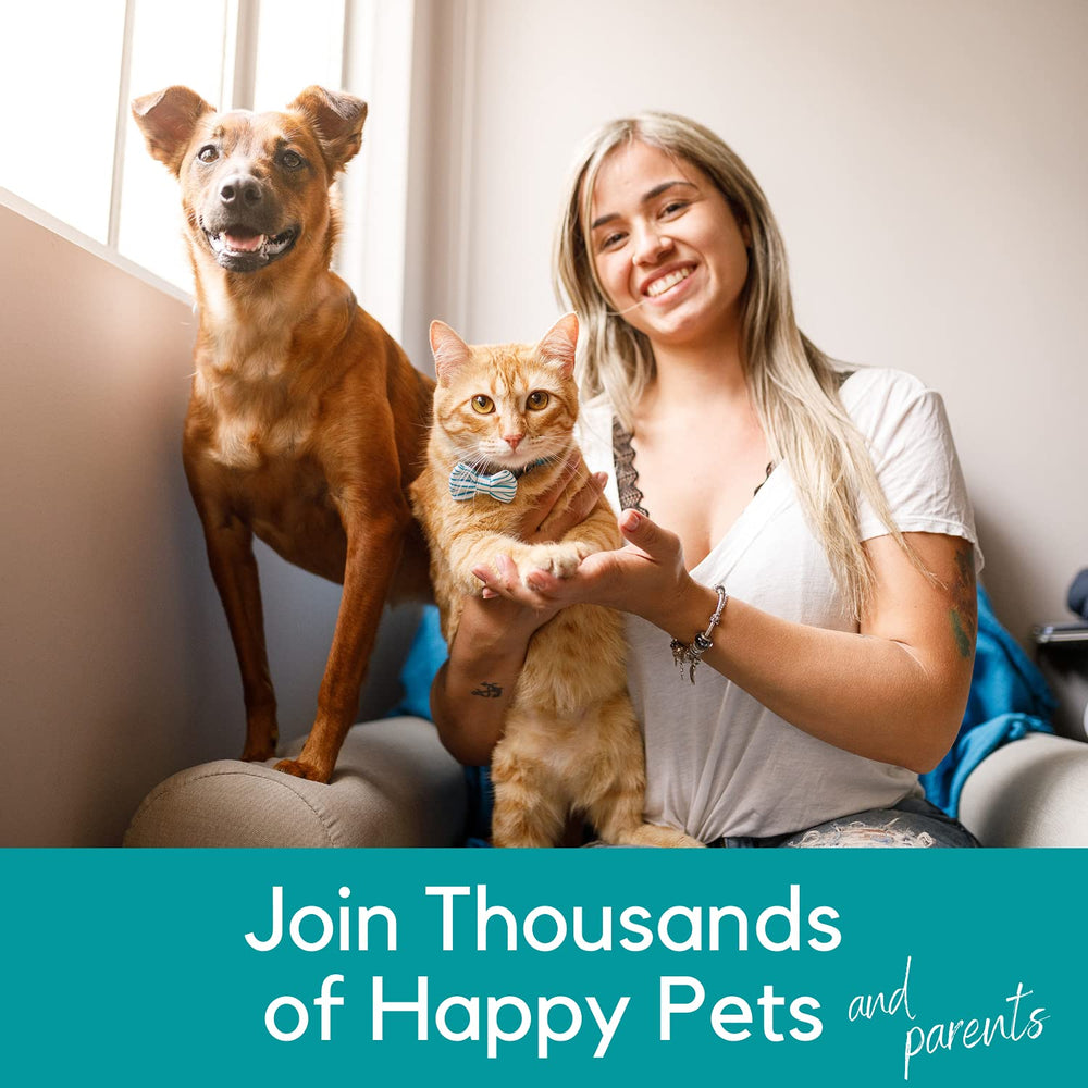 PB Pets Hemp Oil for hip and joint comfort