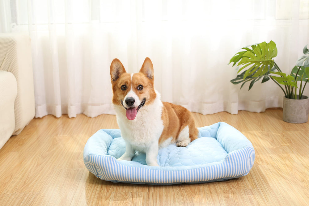 Pbed blue medium dog bed is washable for quick cleanup after outdoor adventures.