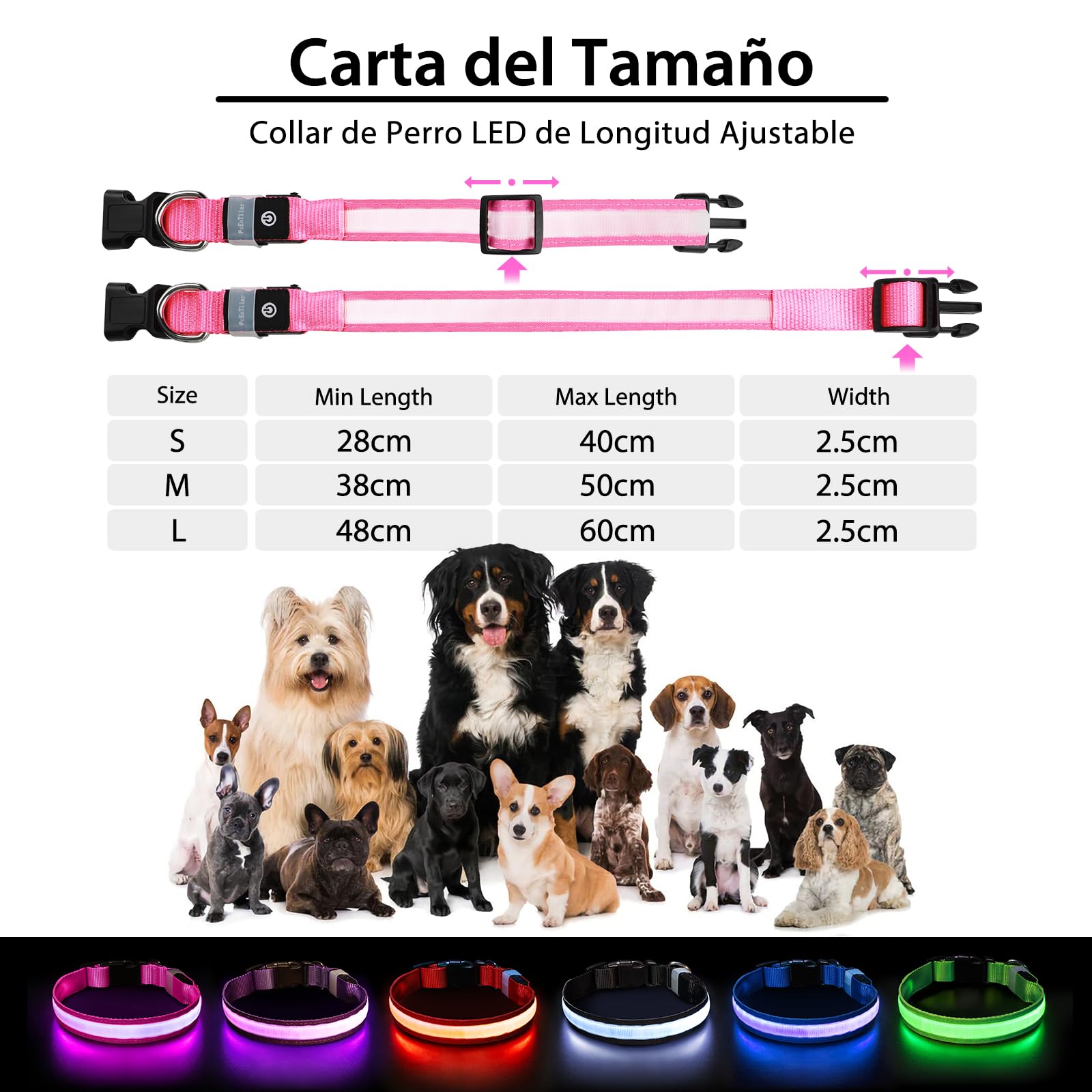 PcEoTllar adjustable dog collar fits small to large dogs securely
