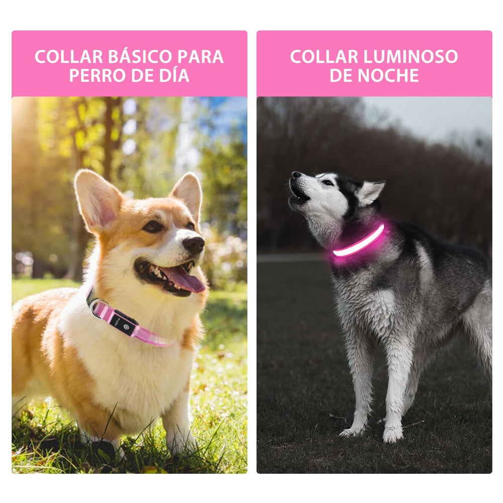 PcEoTllar adjustable strap dog collar fits dogs of all sizes