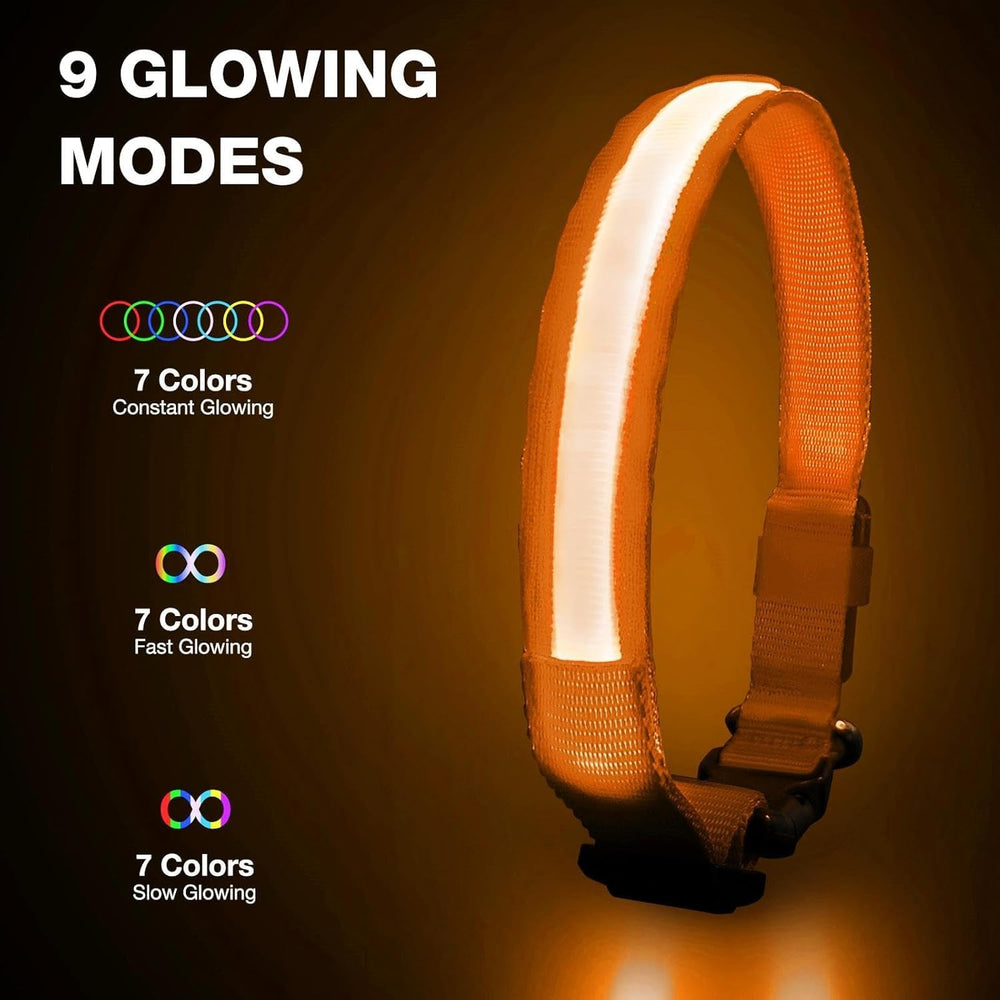 PcEoTllar color-changing LED collar offers mood lighting for dogs.