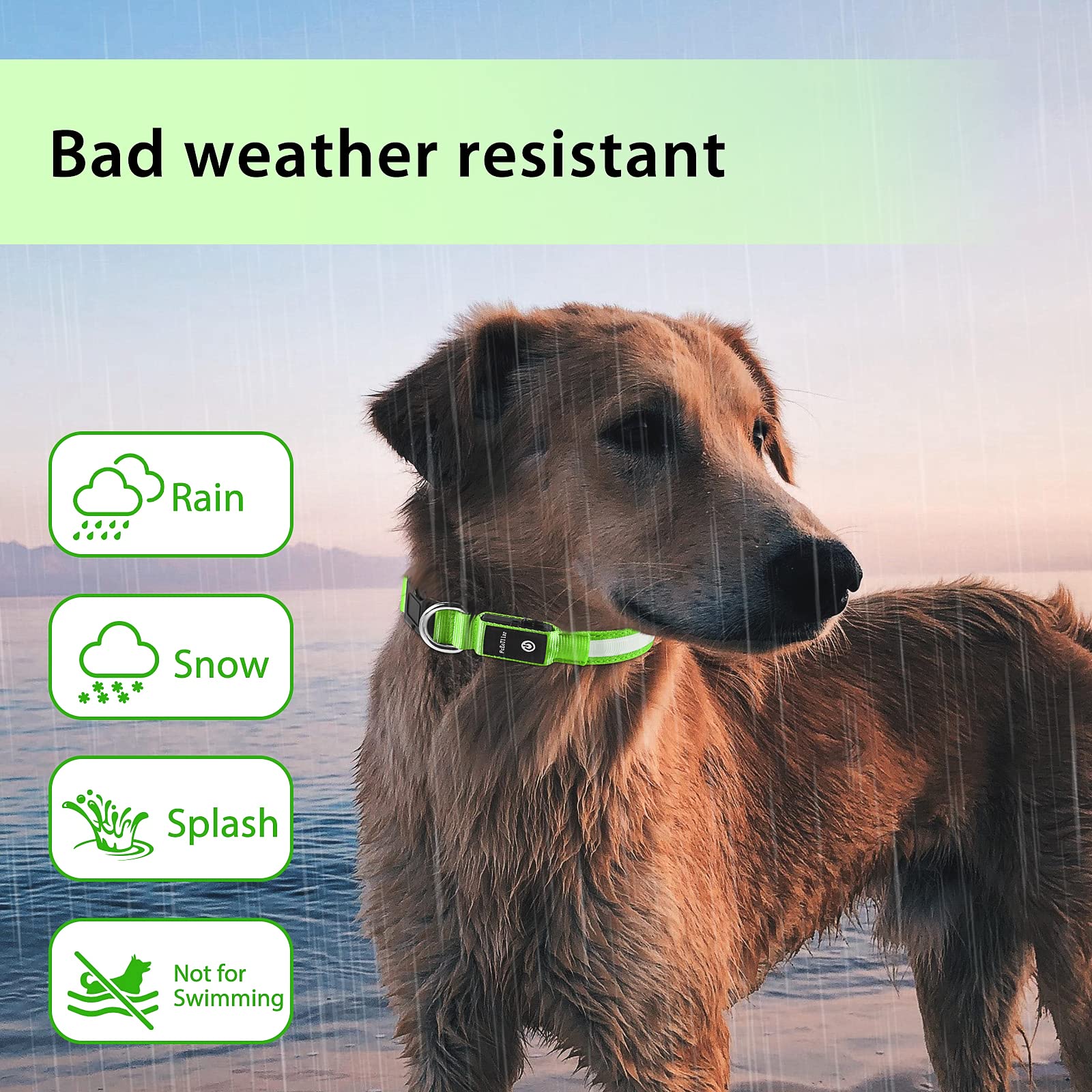 PcEoTllar durable adjustable collar with quick-release buckle for security
