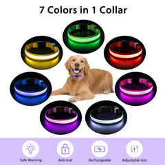 PcEoTllar durable adjustable collar with quick-release buckle for secure, comfy fit.