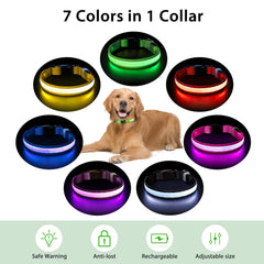 PcEoTllar durable polyester collar with adjustable fit