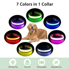 PcEoTllar durable polyester-led dog collar withstands play and weather