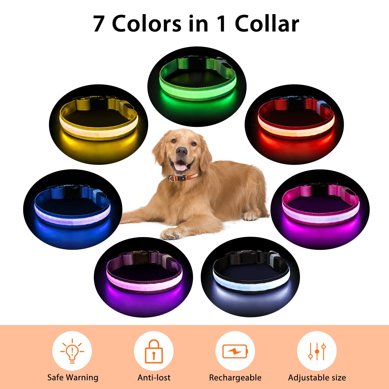 PcEoTllar durable polyester webbing collar with high-tensile stitching.